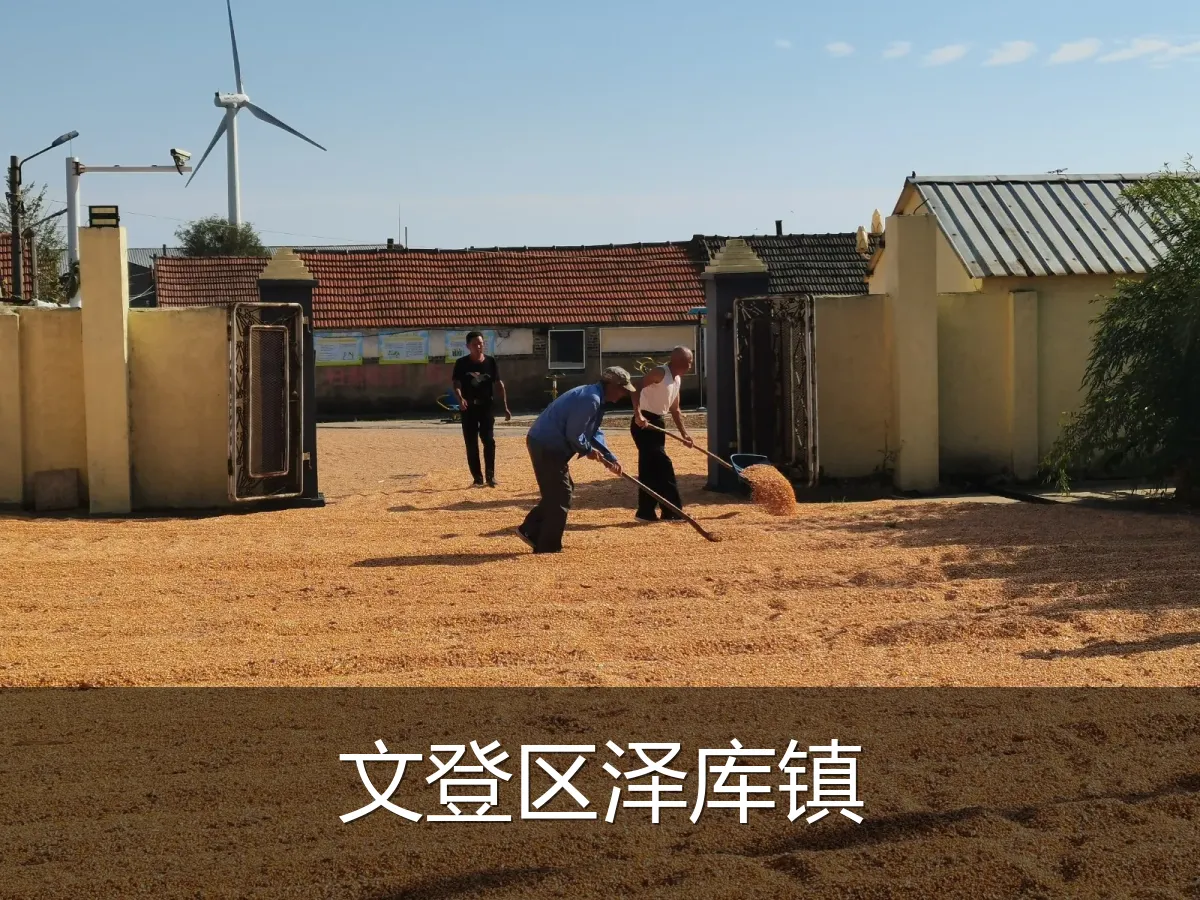 文登区泽库镇