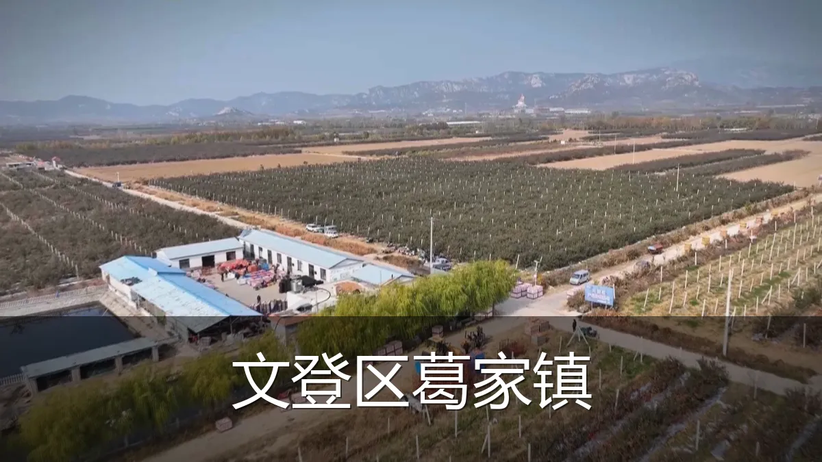文登区葛家镇