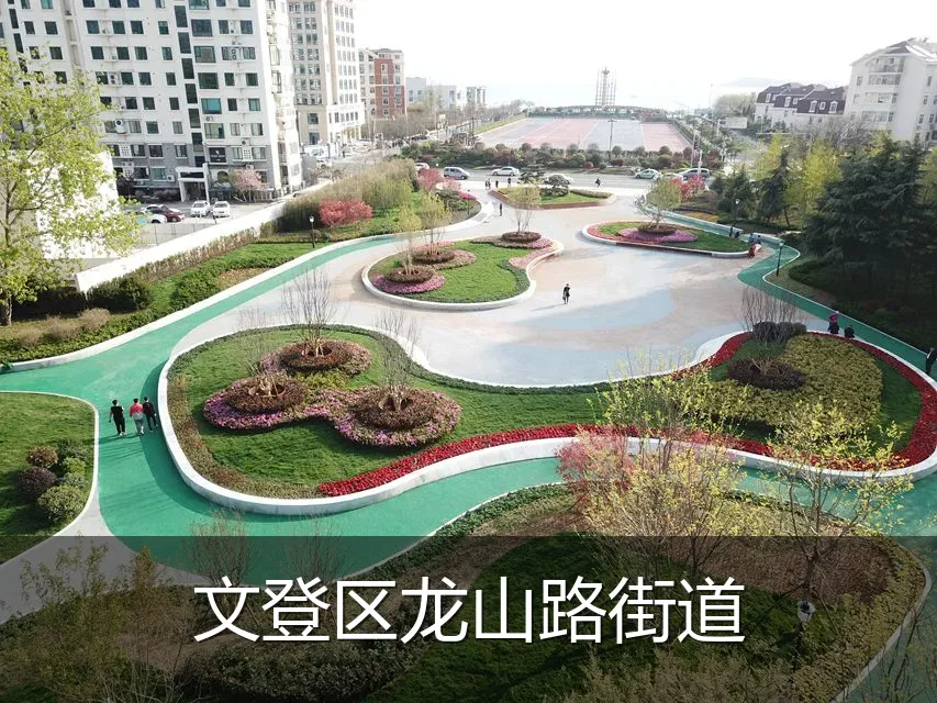 文登区龙山路街道